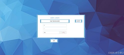 SpringBoot + Vue球鞋产品抢购系统 计算机毕业设计与电脑图文设计的融合创新